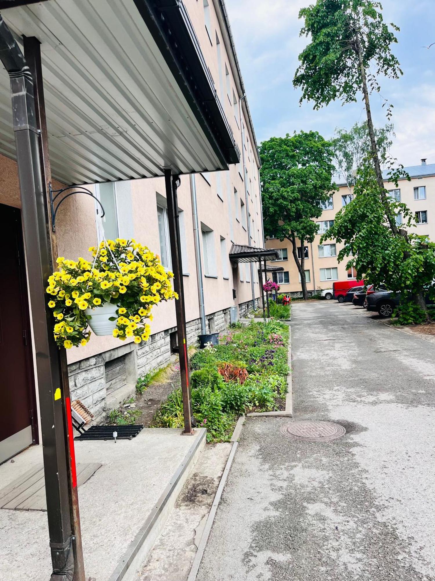 Tallinnhousing Studio For 4 With Free Parking Exterior foto